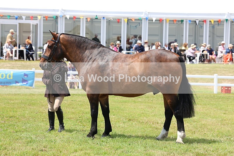 3E7A2216 - Class 10: Open Cob