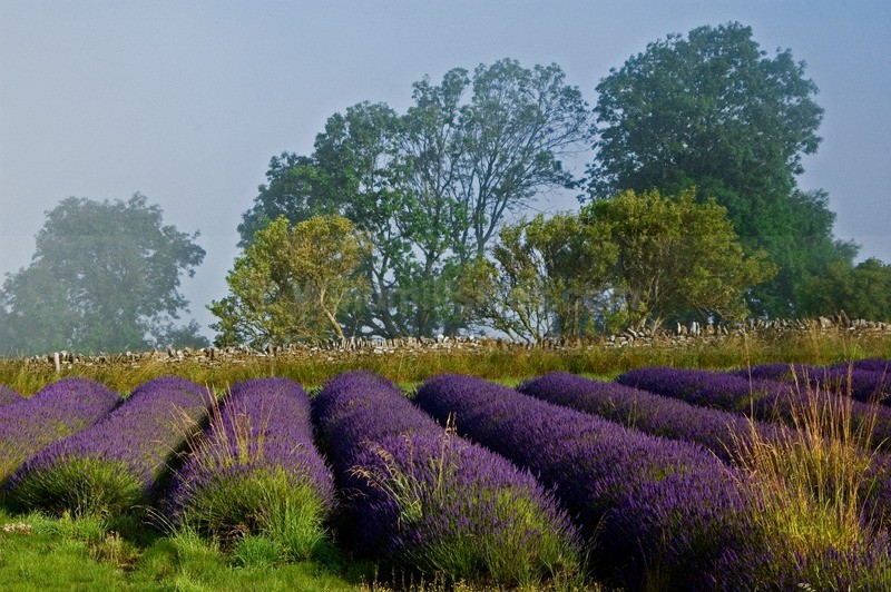  - Cotswolds