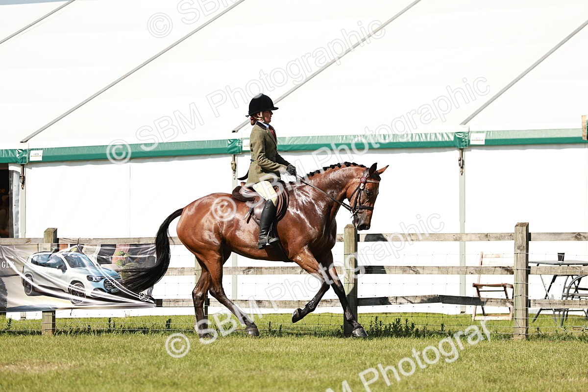 SBM_18880 - Class 114 - RIHS & SEIB Open Working Show Horse