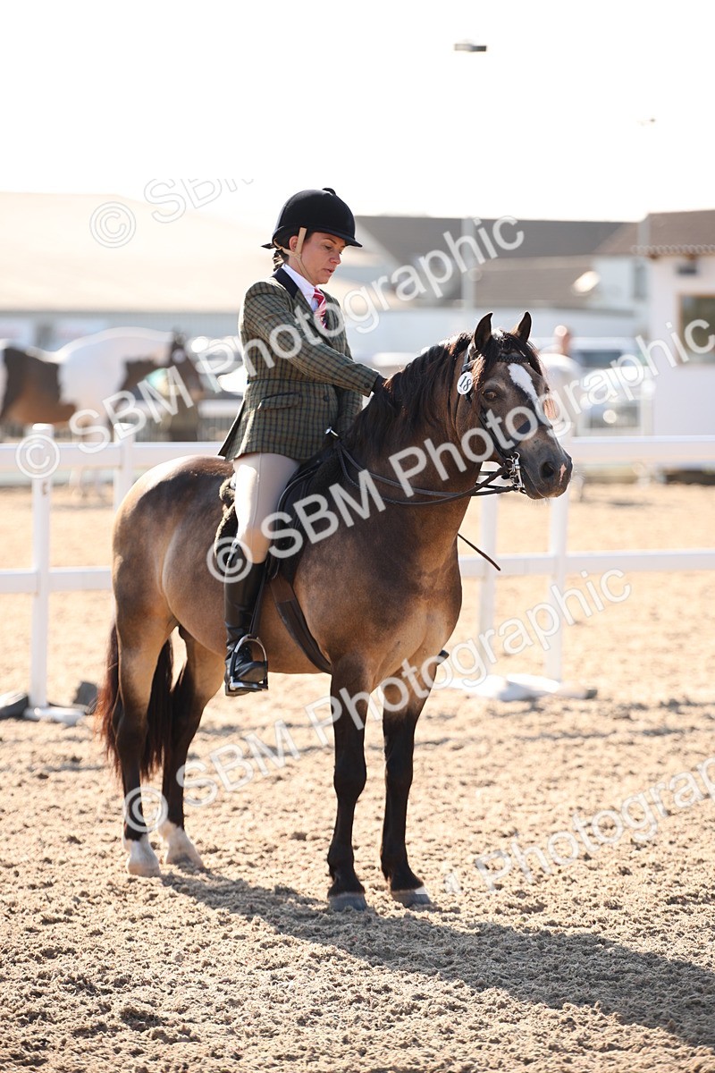 SBM_00753
