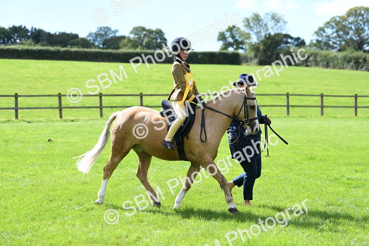 SBM_41291 - S19 - Lead Rein Show & Show Hunter Pony