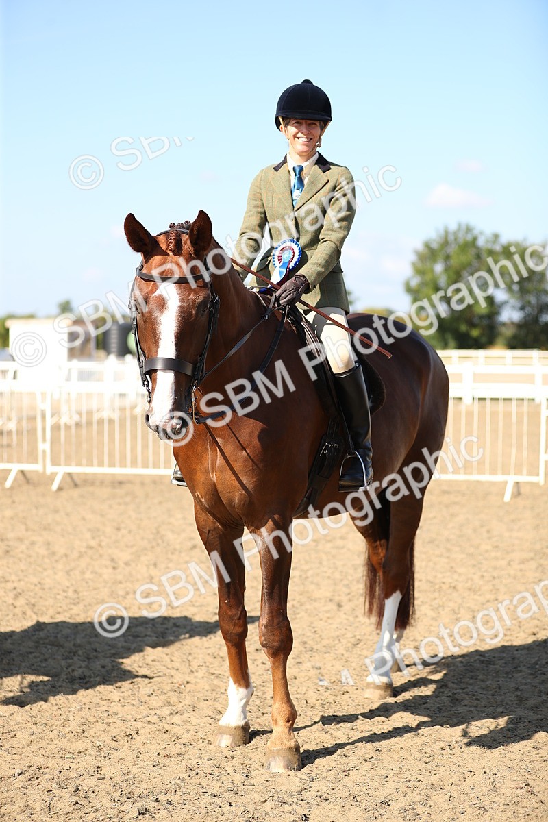 SBM_02375 - Class 43 Ridden Competition Horse/Pony
