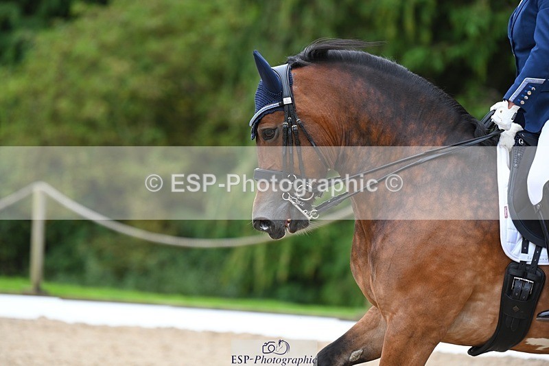 230813-142650-07759 - Cls 13 Medium Bronze 13.15 to End