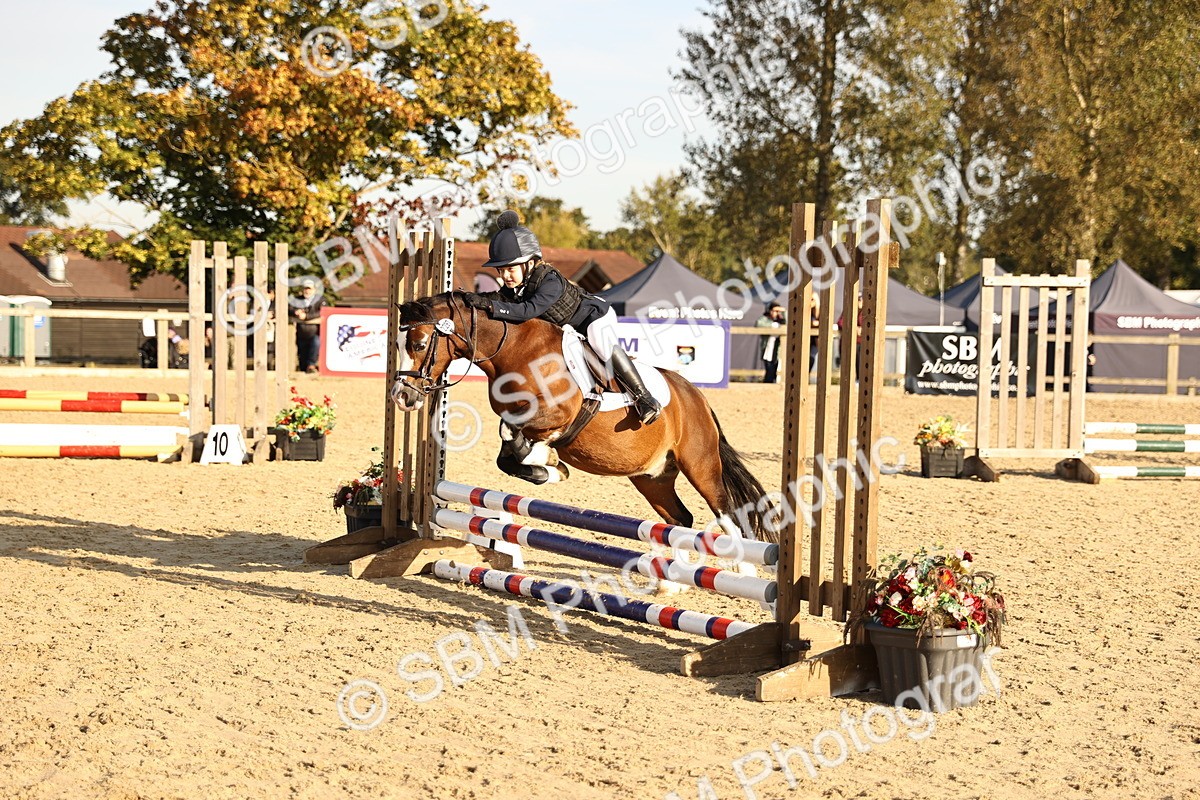 SBM_59481 - J11 - Junior Pony 50cm Championship