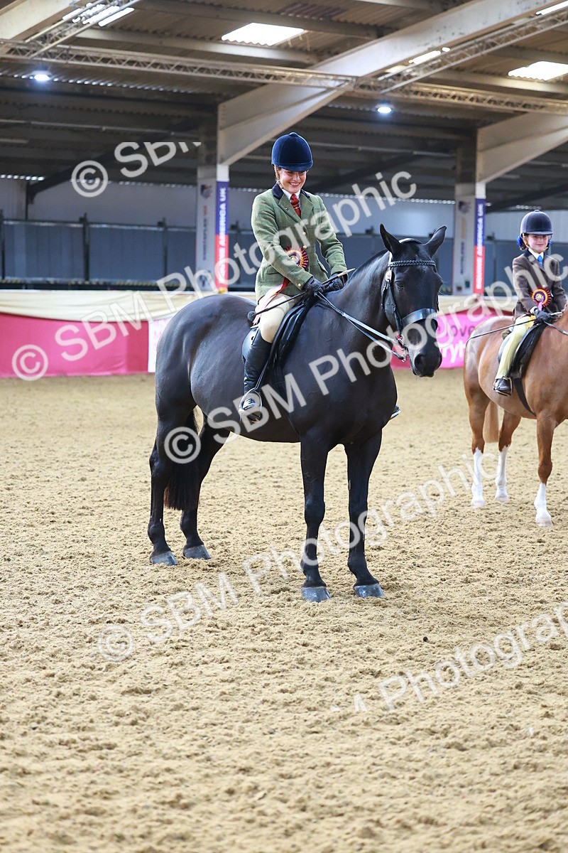 SBM_07752 - Class 101 - HOYS Veteran Qualifier - Ridden Diamond