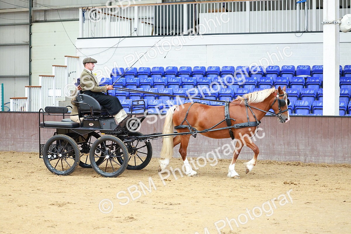 SBM_000615 - Class 11 - Peter Howell Memorial Gentlemen Whip