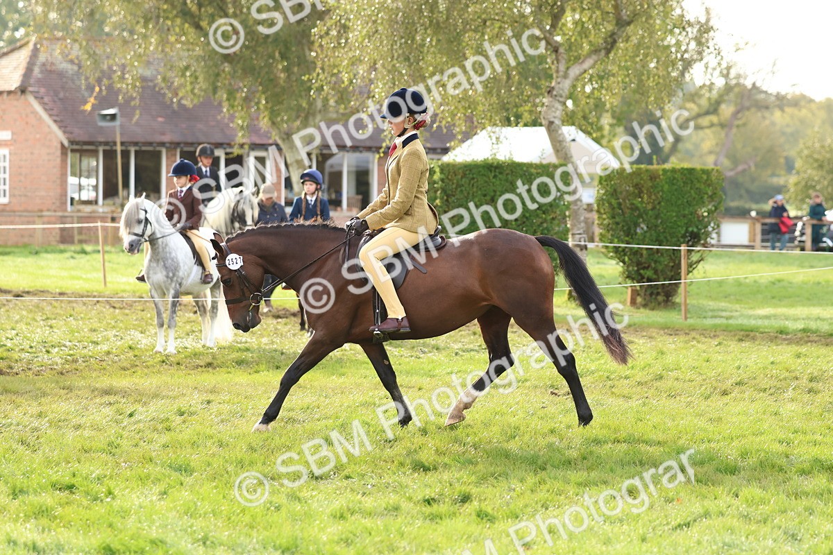 SBM_56608 - S40 - Starters Ridden Showing