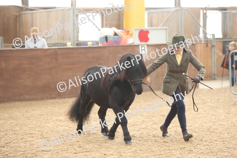 20251109-0048 - Class 3 - 2 and 3 Year Old