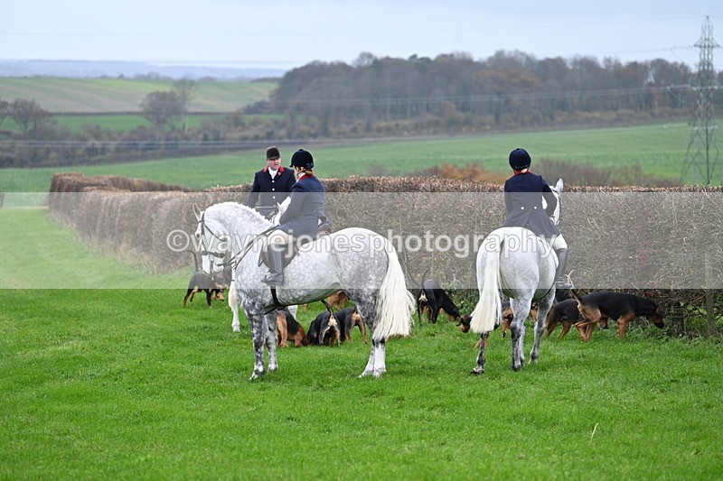 WJ7_8775 - Meet Staff & Hounds