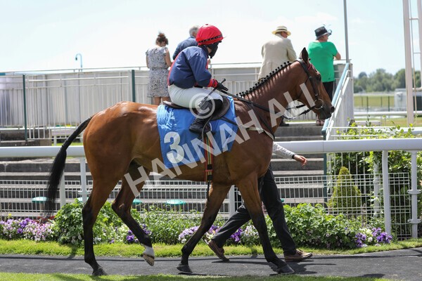 yr12062021r1-1 - Race 1 2.00pm Queen Mother's Cup