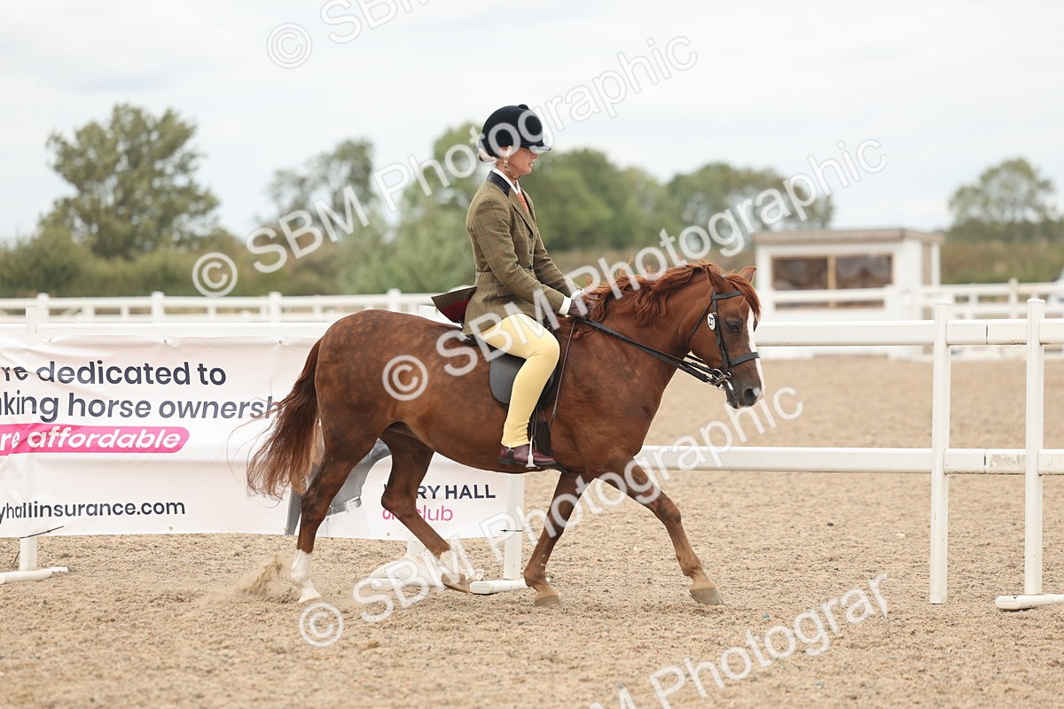 SBM_19113 - Class 316 - Best Pony-Rider Combination