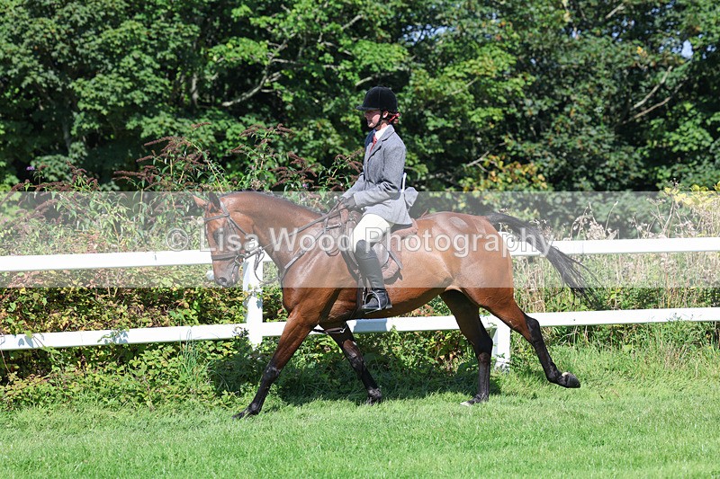 3E7A8403 - Class 4: Novice working Hunter