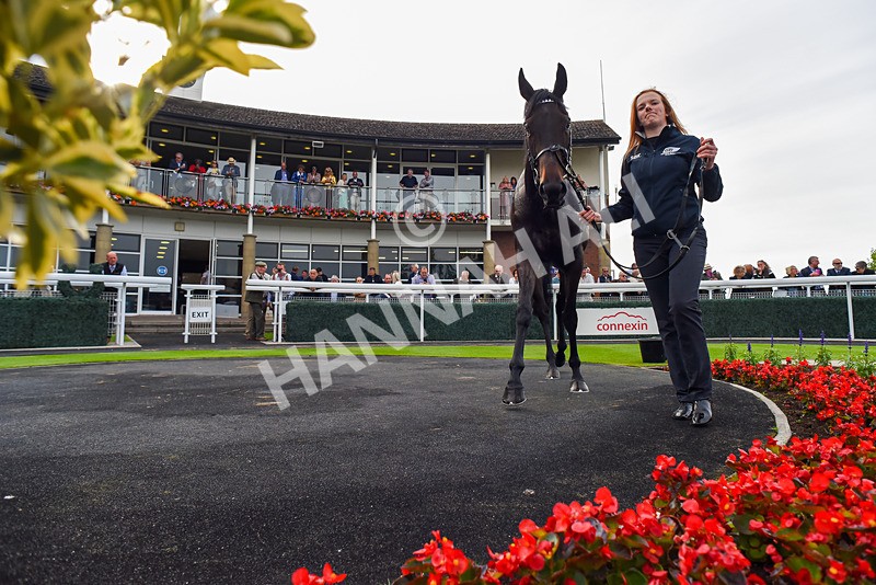 050724-Race 3-Organic-2 - Race 3