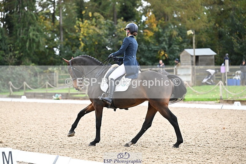 251023A-104706-01552 - B-131-Gemma.Gurvidi