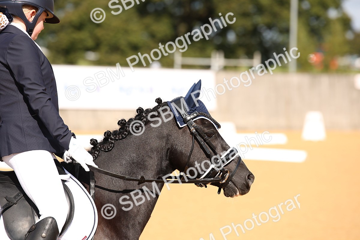 SBM_04223 - D2 Small Tour Championship Intro C