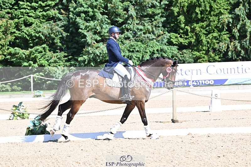 240811-154555-06866 - Inter I Silver