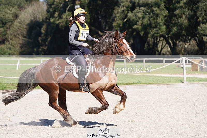 250316A-122622-00971 - Cls 02 80cm