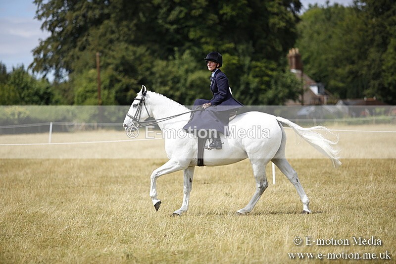 _C7A0279 - Side Saddle Classes BVRC Show 2018