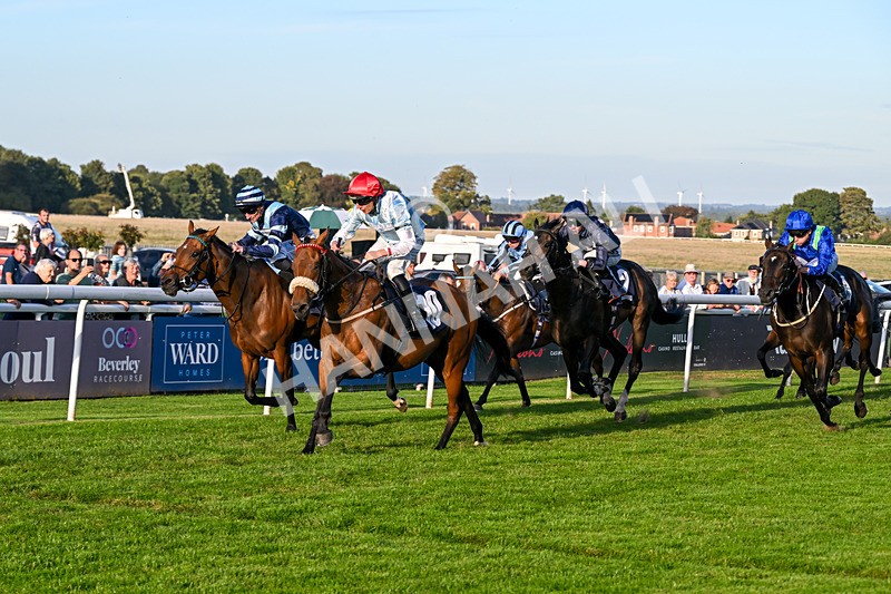 220926-Race 8-Horwich-5457 - Race 8 5.35pm End Of Season Handicap