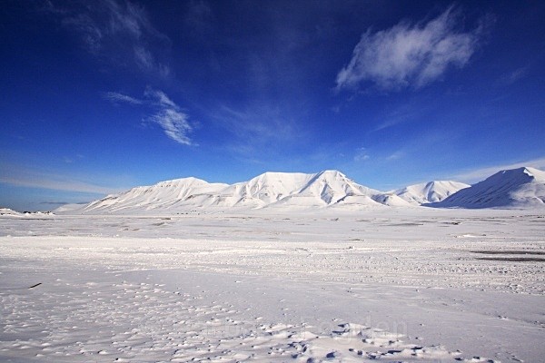 Sassendalen 2846 - Winter in the daylight