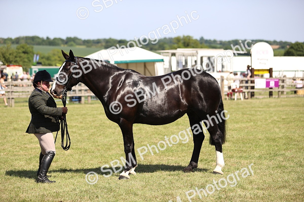 SBM_17934 - Class 81-83 - TSR Ridden Amateur of the Year - Horses