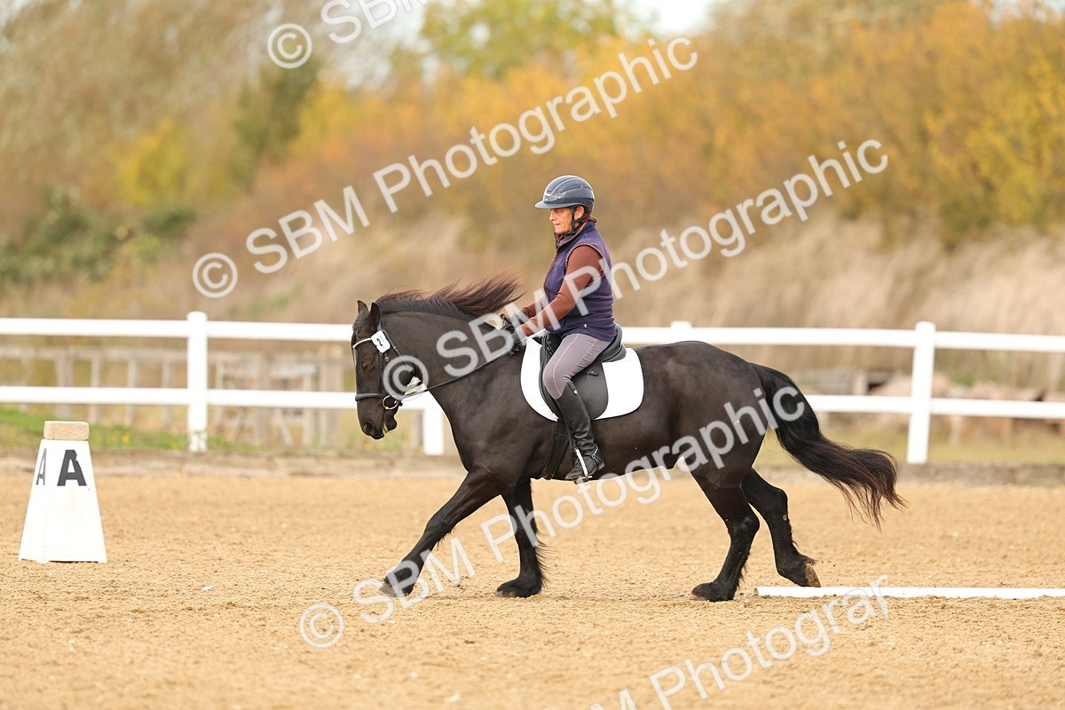 SBM_000696 - Class 3-12 - CT P2 60cm - DR P2