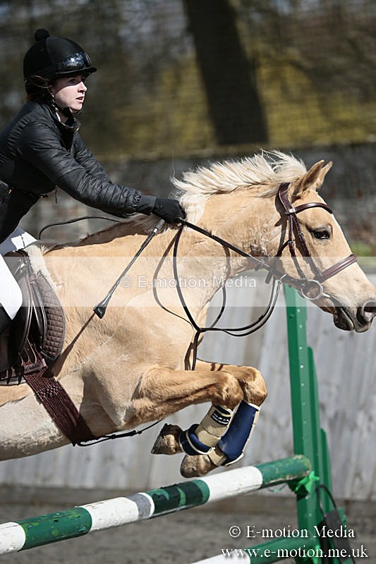 BVRC SJ 170319 444 - Bourne Valley Riding Club Showjumping 17/03/19