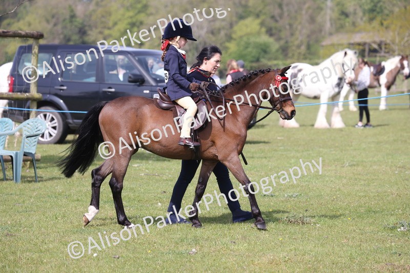 20260426-0571 - Class 31 - Leading Rein