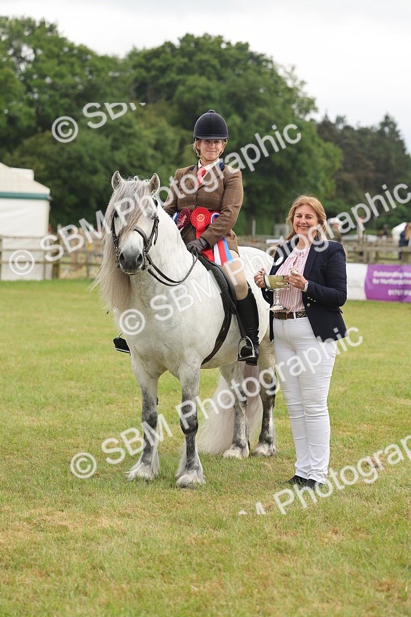 SBM_09151 - Class 78-80 - Ridden M&M Non Welsh Ponies
