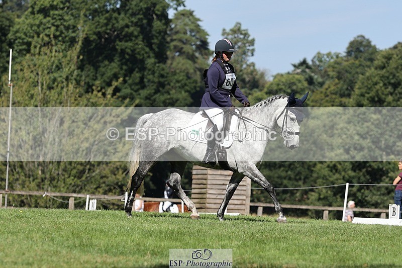 250823A-104317-27775 - Arena D