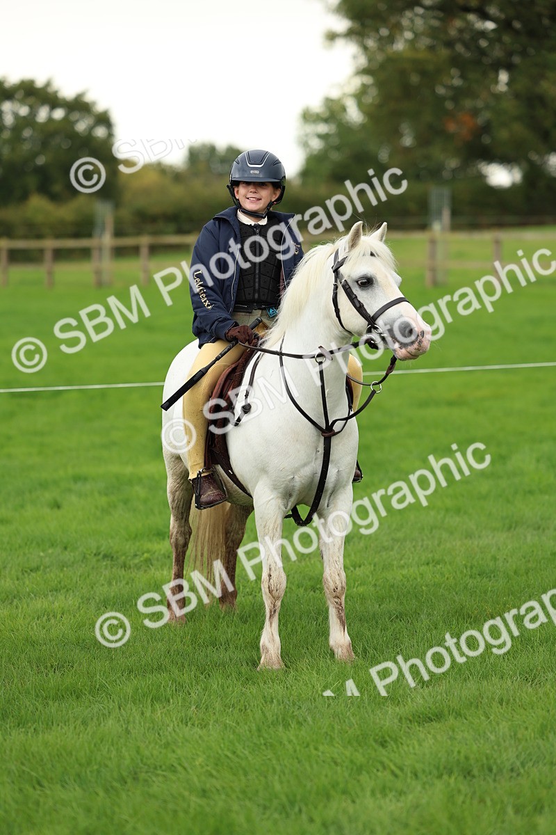 SBM_41863 - S32 - Mountain & Moorland Working Hunter Pony