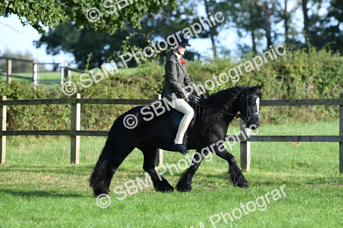 SBM_54013 - S23 - 1st Ridden Mountain & Moorland Pony
