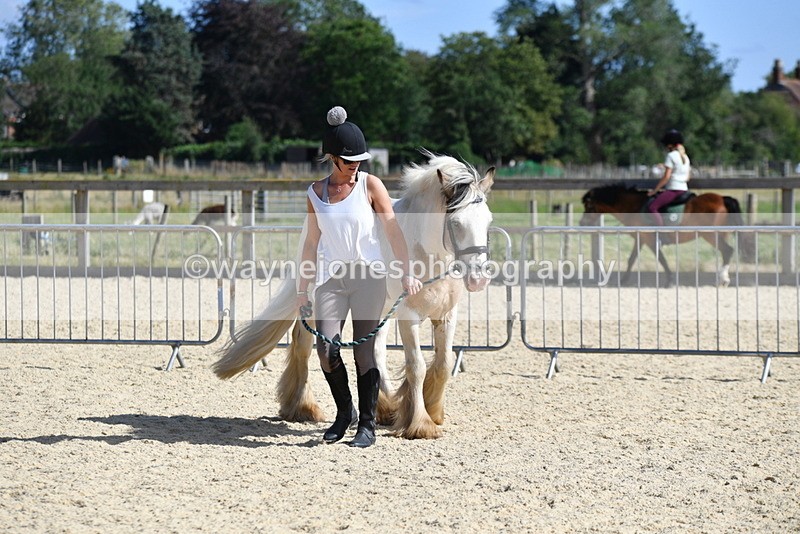 WJ5_5428 - Poles on the Floor