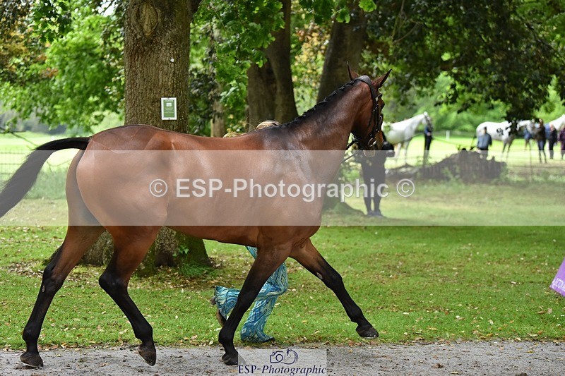 240522-160650-00725 - 154-K-Anya_Strilkowski