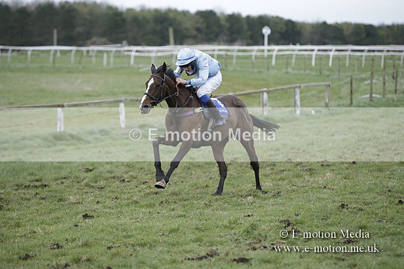 PtP 150320 0892 - New Forest Point-to-Point Larkhill 15/03/20