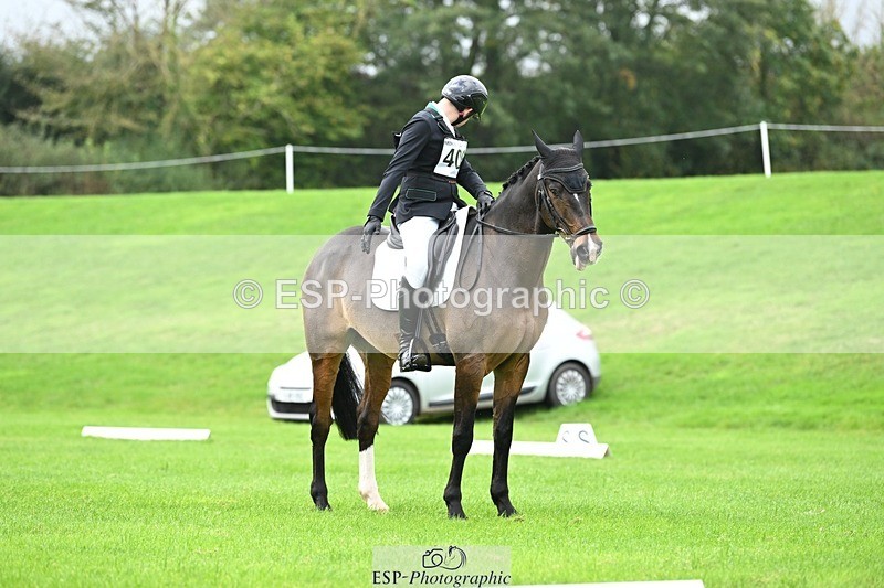 241024-101043-02953 - 406-Harvey.Crocker-THE.NIGHT.TRAVELLER