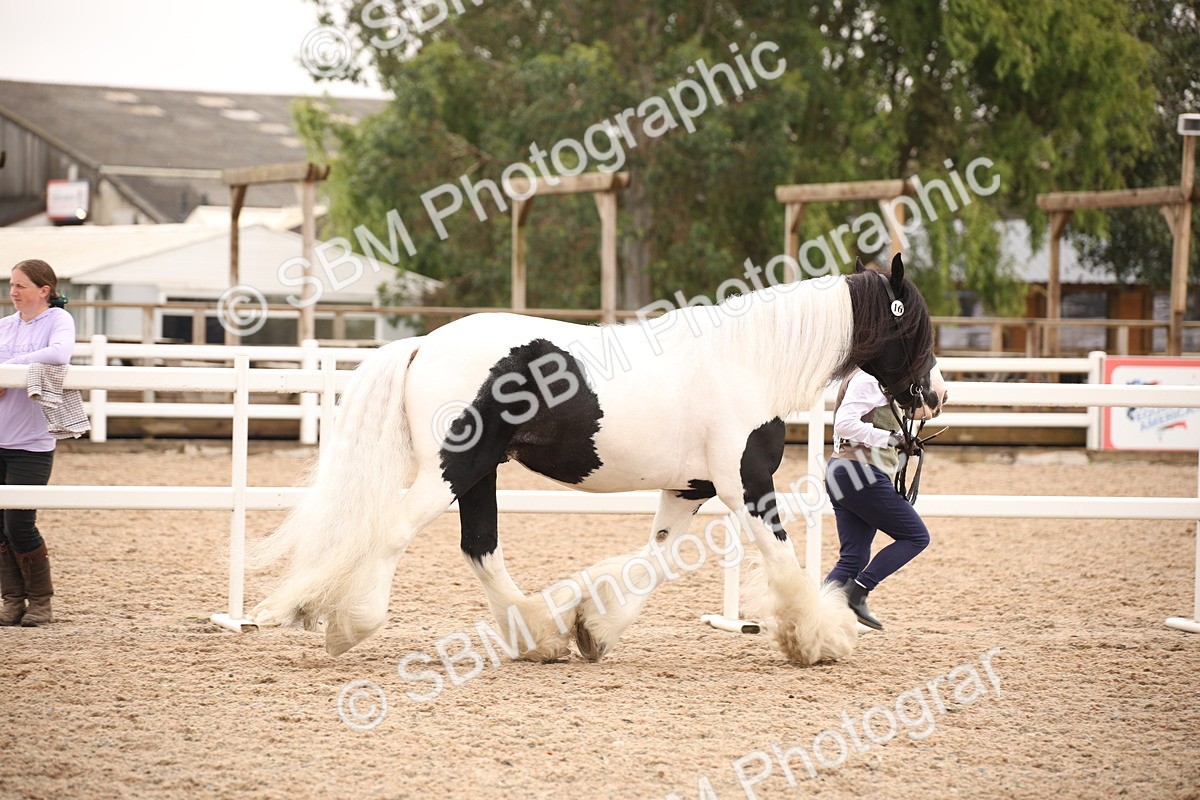 SBM_22116 - Class 707 - Ridden Groom-Helpers Class