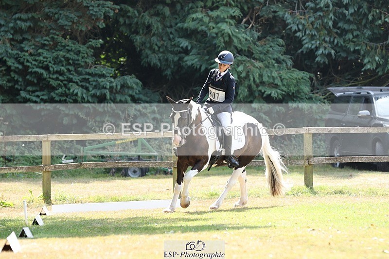 250823A-131502-31499 - Arena C