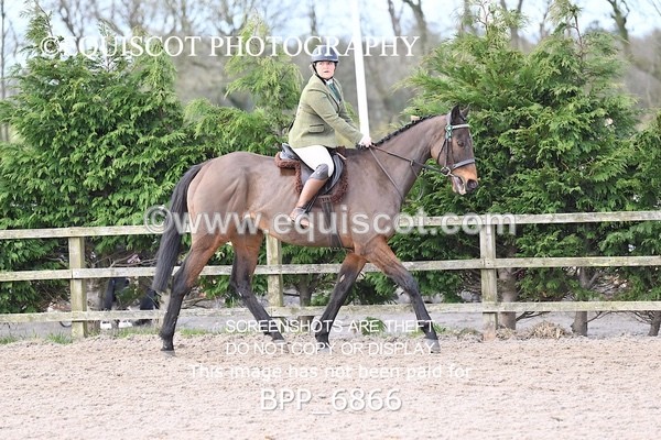 BPP_6866 - RING 1  (RIDDEN HORSES / IN HAND / VETERAN ETC)