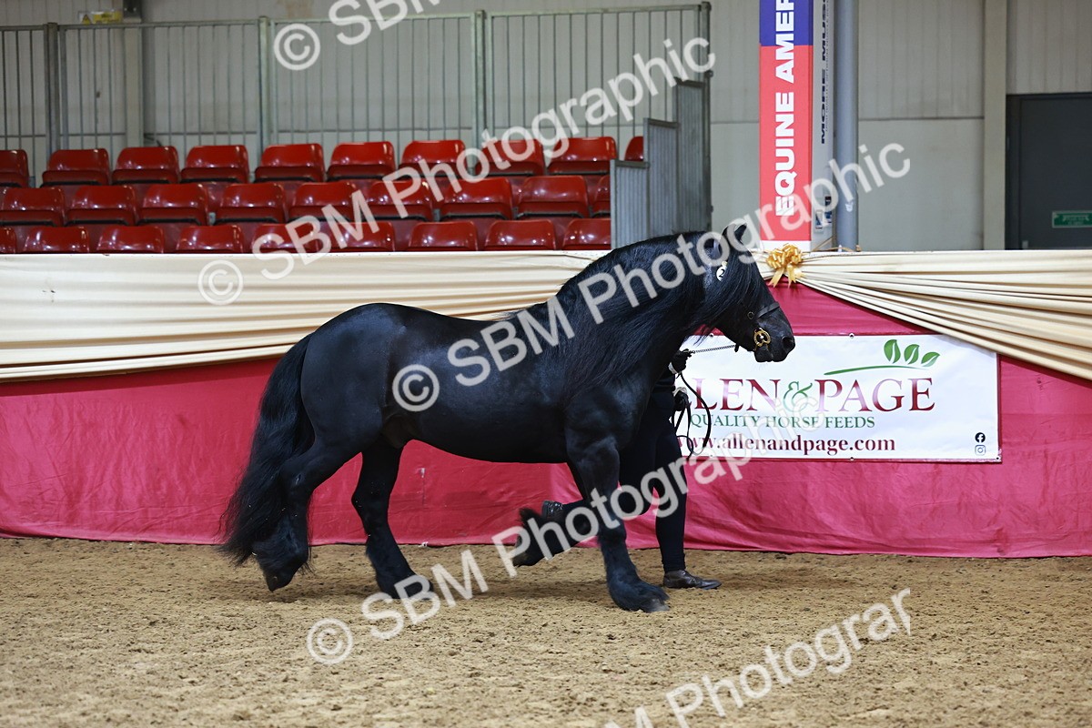 SBM_22236 - Class 902 - Supreme Final - IH Diamond