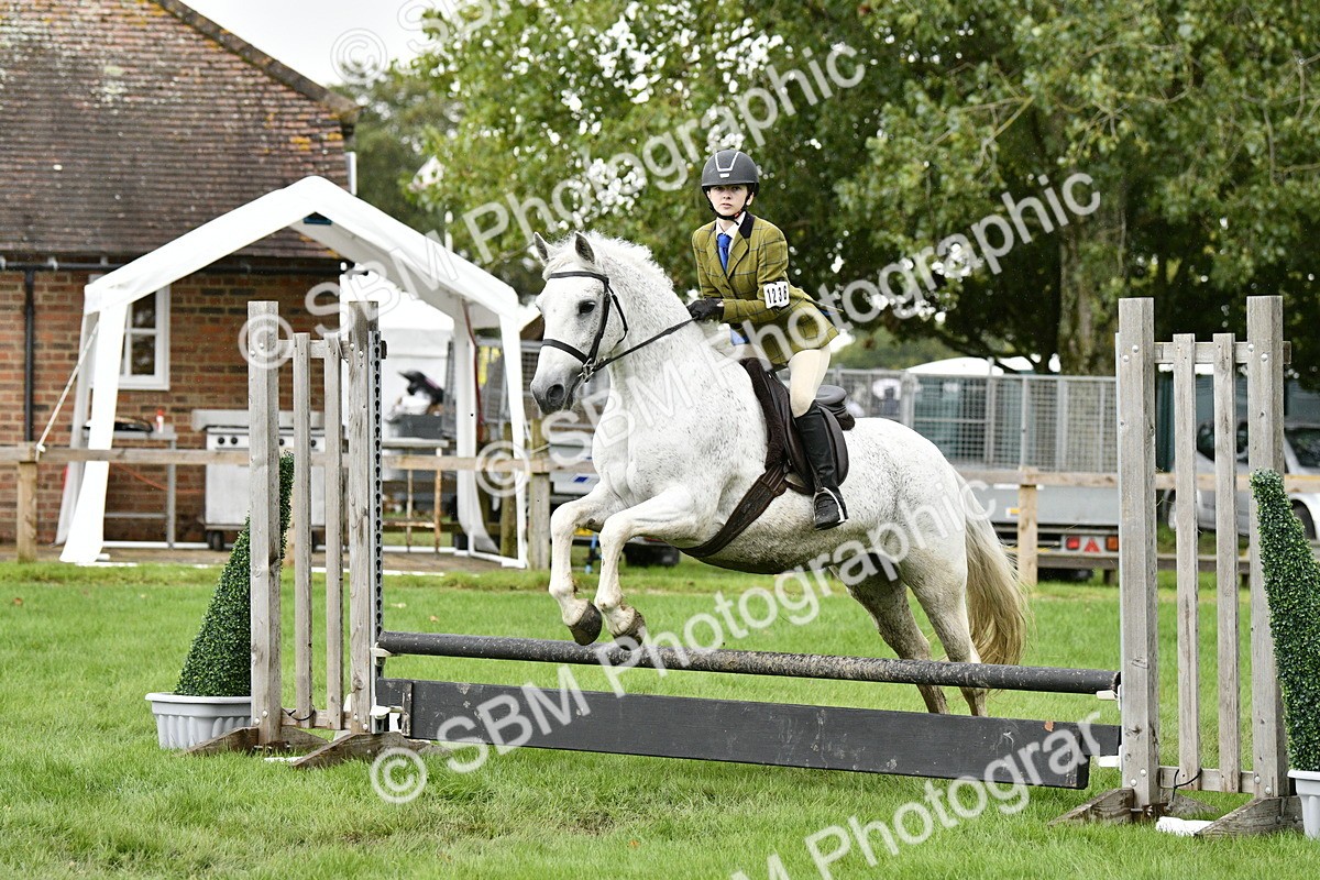 SBM_42249 - S32 - Mountain & Moorland Working Hunter Pony