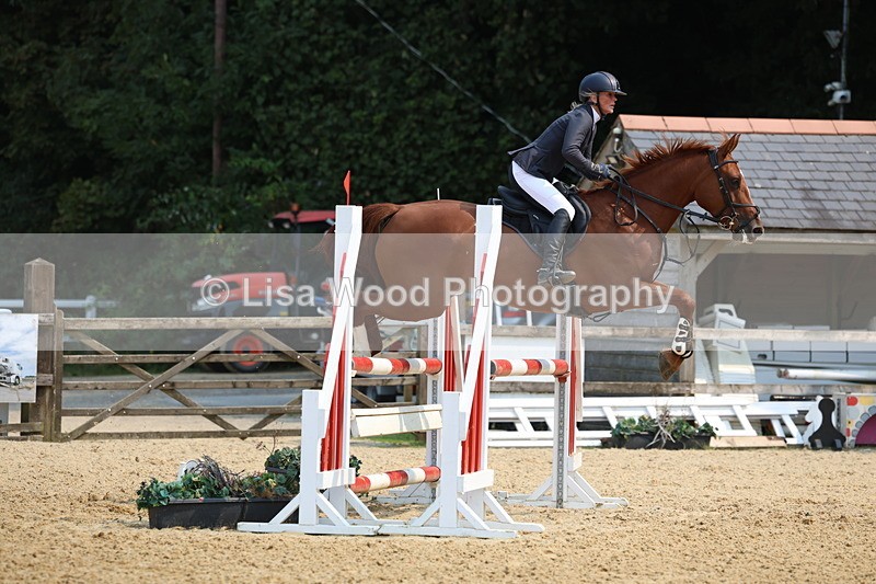 3E7A1386 - Class 4: Senior British Novice/90cm open