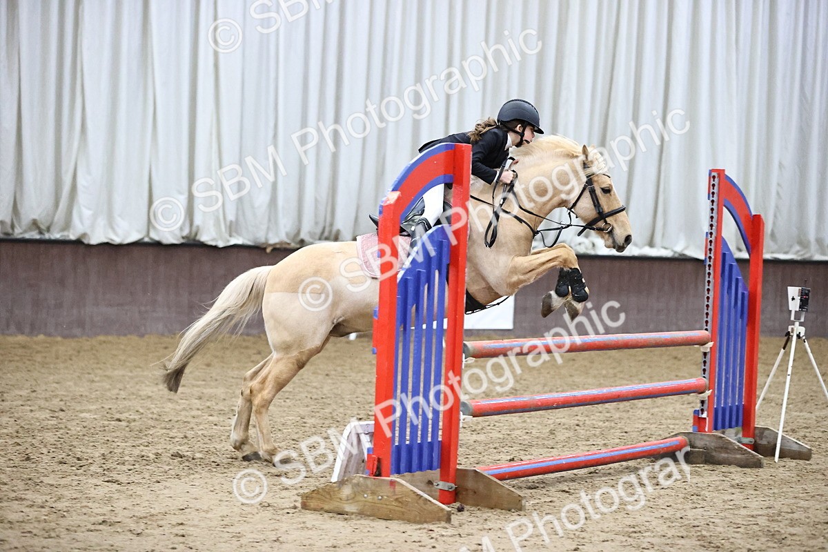 SBM_000343 - Class 2 - Pony British Novice - 80cm