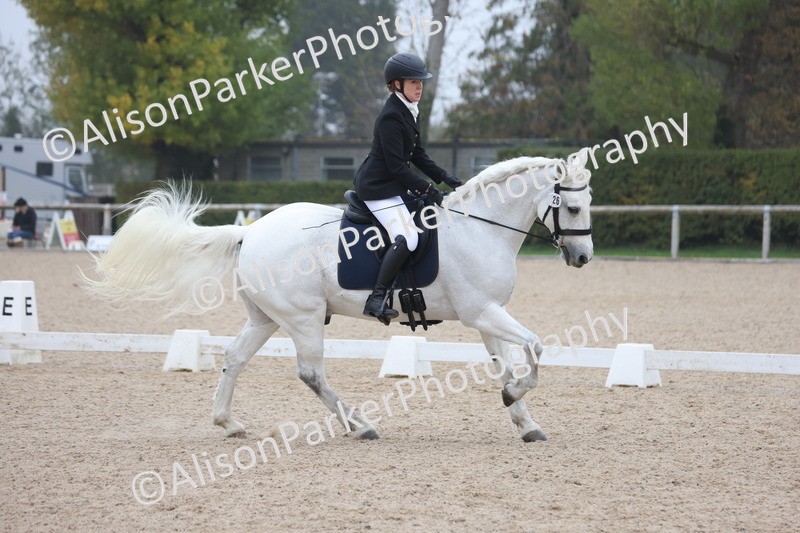 20251012-0495 - Class 4 - Novice 6