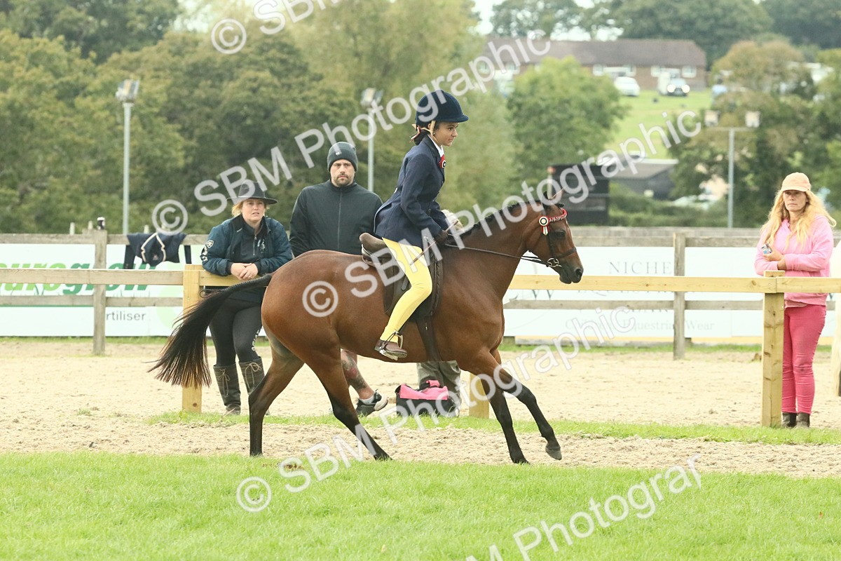 SBM_74038 - S 61 - Show Pony & Show Hunter Pony Ridden