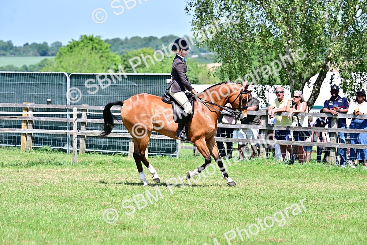 SBM_17407 - Class 95-97 - BSPS LHS Performance Ponies