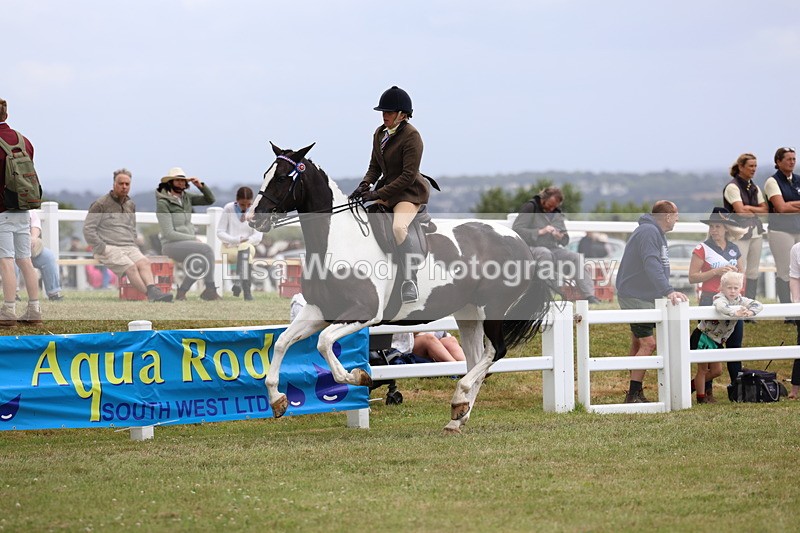 3E7A1028 - Class 8: Open Riding Horse/Hack