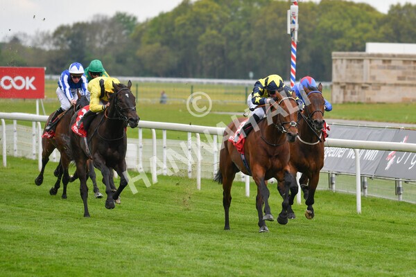 yr14052021r3-13 - Race 3 2.40pm The Matchbook Best Value Exchange Stakes