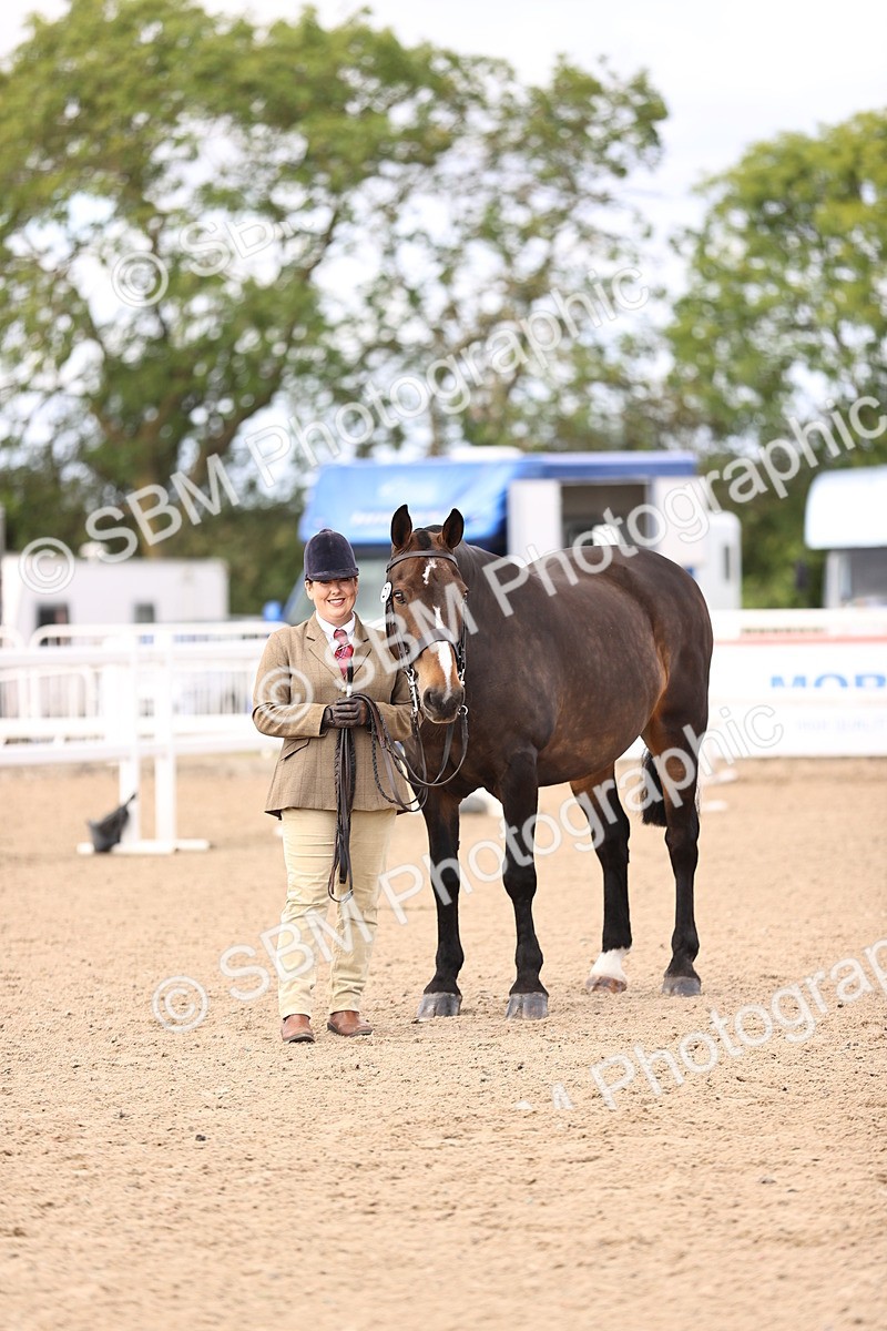 SBM_10390 - Class 405 - IH Show Cob