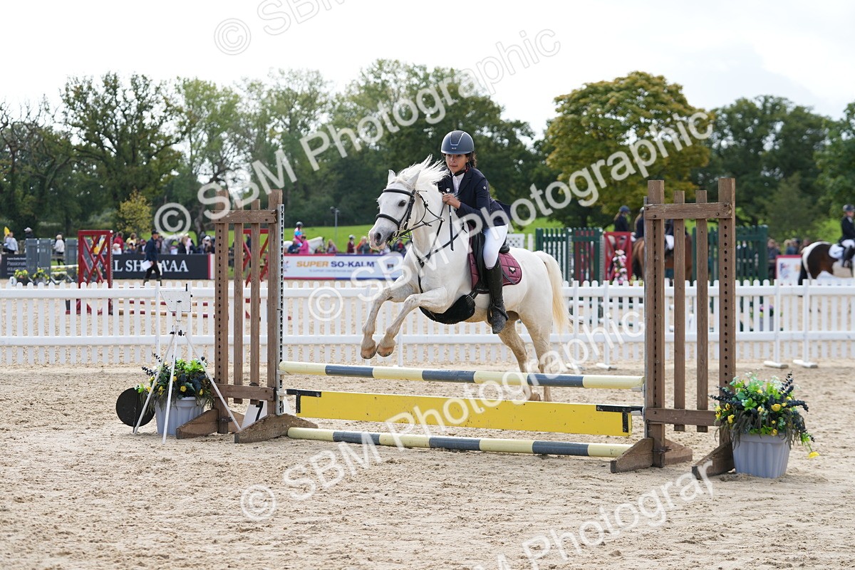SBM_40813 - Supreme Championship Pony 50-55cm